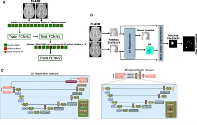 Improving the detection of new lesions in multiple sclerosis with a cascaded 3D fully convolutional neural network approach